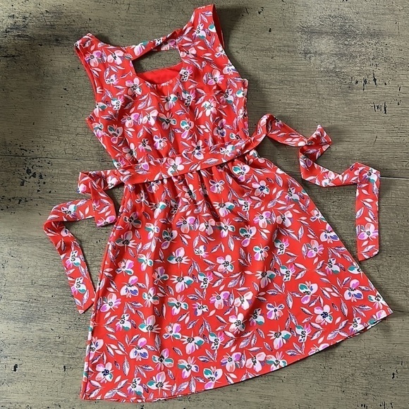 Gap Floral Print Cinch Waist Dress - Blaze - Picture 13 of 15